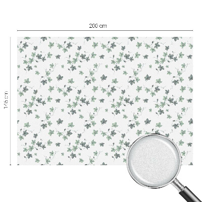 Folie geam să nu se vadă din exterior Viță verde