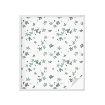 Folie geam să nu se vadă din exterior Viță verde