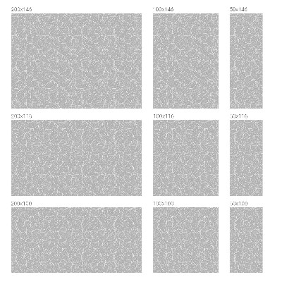 Folie geam să nu se vadă din exterior Eleganță frunzișoasă