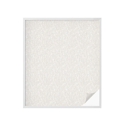 Folie geam să nu se vadă din exterior Eleganța plantelor