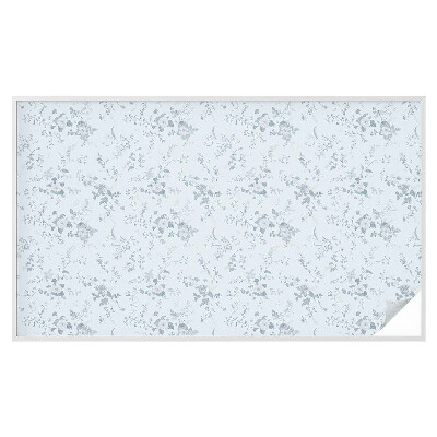 Folie geam să nu se vadă din exterior Flori subtile