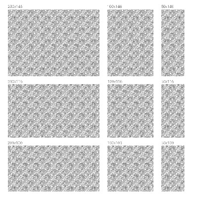 Folie decorativă geam Portrete clasice