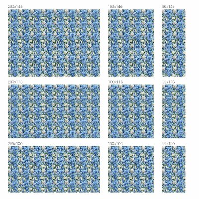 Folie decorativă geam Farmecul floral