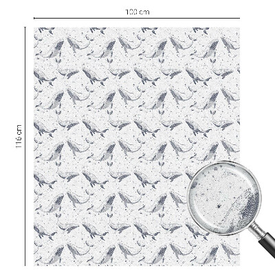 Folie decorativă geam Creaturi marine