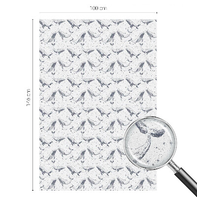 Folie decorativă geam Creaturi marine