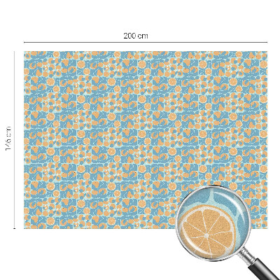 Folie decorativă geam Citrice cu gust de pește