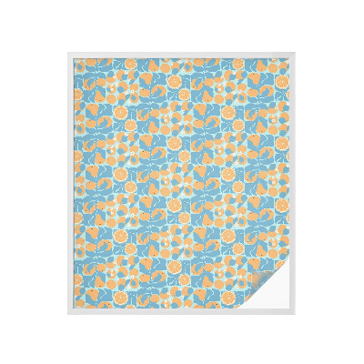 Folie decorativă geam Citrice cu gust de pește