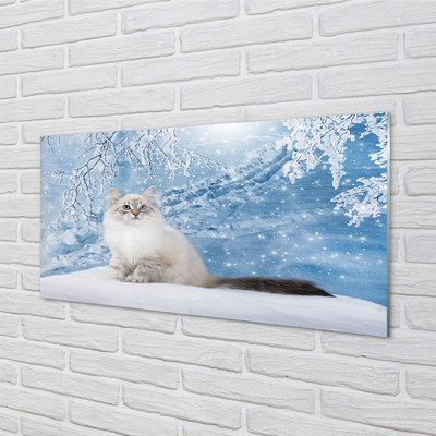 Tablouri acrilice pisică de iarnă