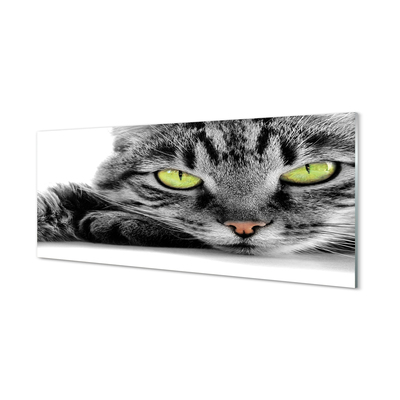 Tablouri acrilice pisică gri-negru