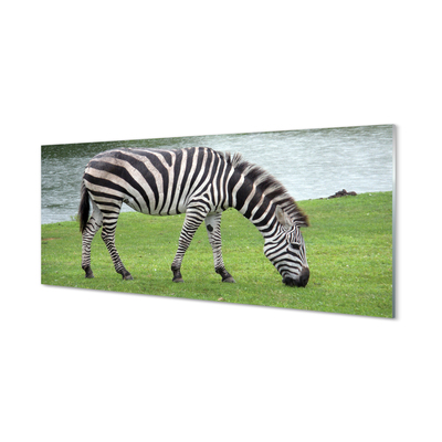Tablouri acrilice zebră