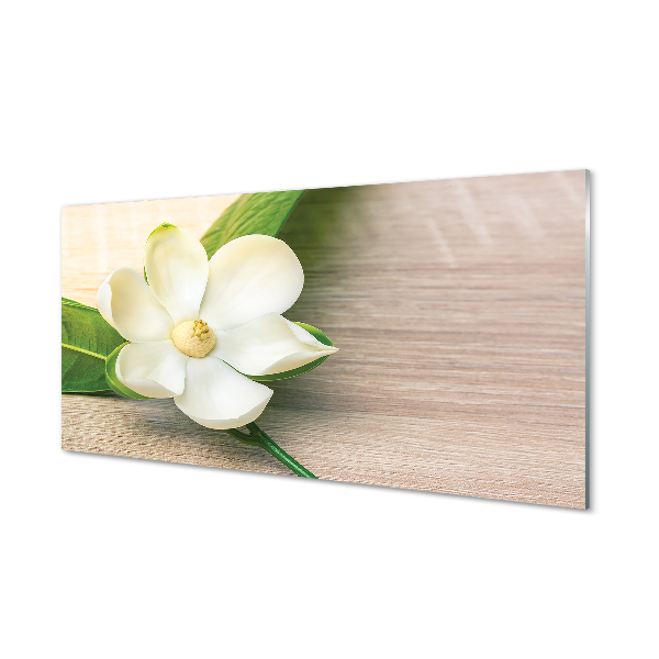 Tablouri acrilice magnolie alb