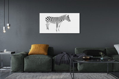 Tablouri acrilice zebră pictat