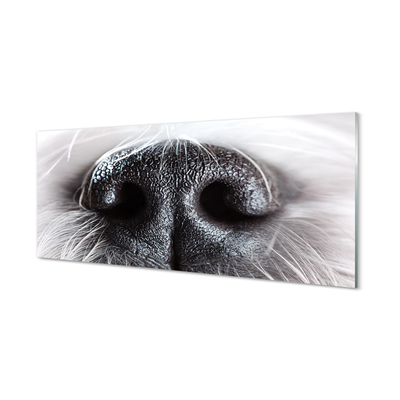 Tablouri acrilice nasul câinelui