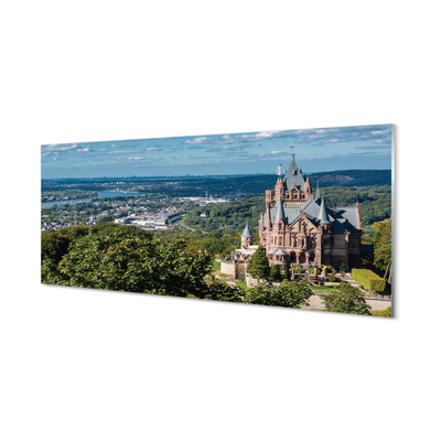 Tablouri acrilice Germania Panorama a castelului orașului