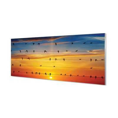 Tablouri acrilice Păsări pe apus de soare frânghii