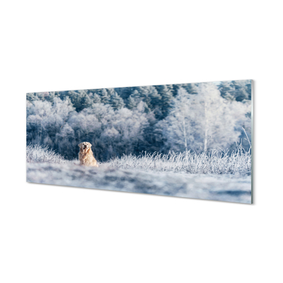 Tablouri acrilice Iarna câine de munte