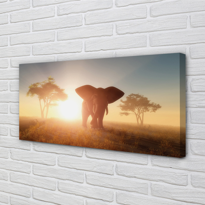 Tablouri canvas Elephant copac est