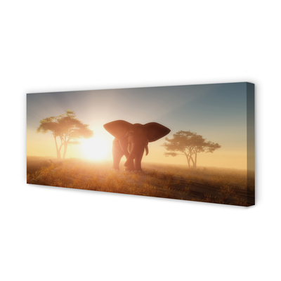 Tablouri canvas Elephant copac est