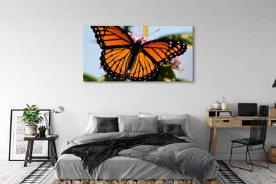 Tablouri canvas fluture colorat