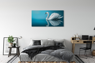 Tablouri canvas Swan în apă