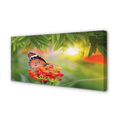 Tablouri canvas flori colorate fluture