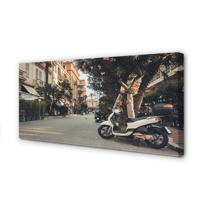 Tablouri canvas Motociclete urbane de palmier de vară