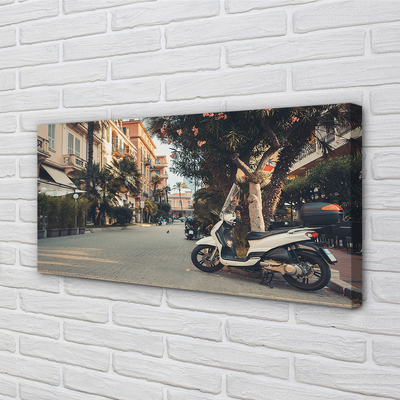 Tablouri canvas Motociclete urbane de palmier de vară