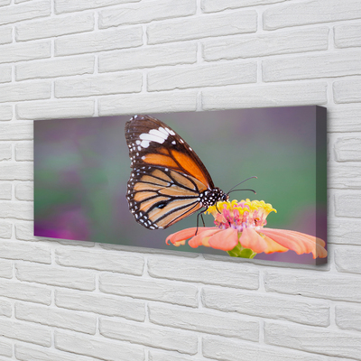 Tablouri canvas floare fluture colorat