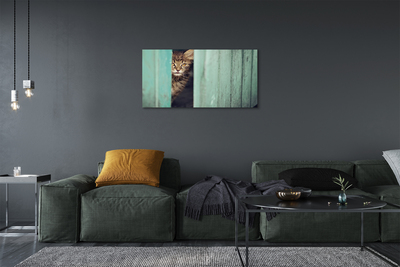Tablouri canvas Zaglądający pisică