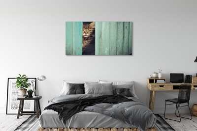 Tablouri canvas Zaglądający pisică