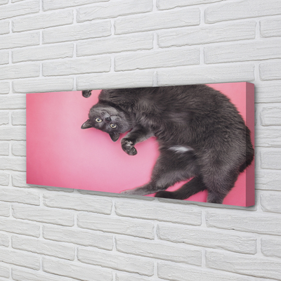 Tablouri canvas situată pisica