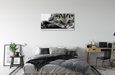 Tablouri canvas pisică gri-negru