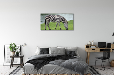 Tablouri canvas zebră