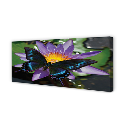 Tablouri canvas floare fluture
