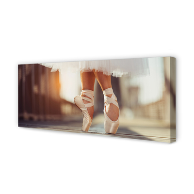 Tablouri canvas pantofi de balet alb picioare femei
