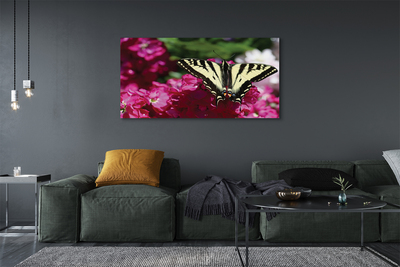 Tablouri canvas flori fluture