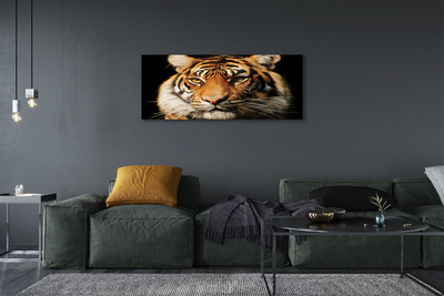 Tablouri canvas Tigru