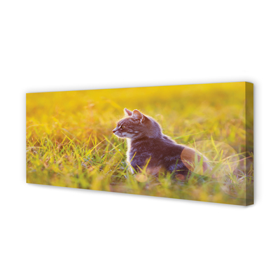 Tablouri canvas pisică de vânătoare
