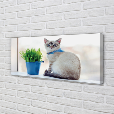 Tablouri canvas ședinței de pisică