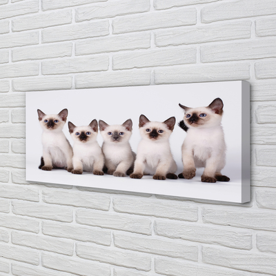 Tablouri canvas pisici de talie mică