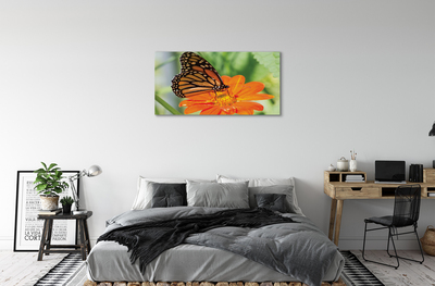 Tablouri canvas Floare fluture colorat
