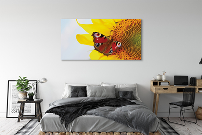 Tablouri canvas floarea-soarelui fluture