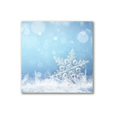 Tablou pe panza canvas Fulgi de zăpadă, iarnă, zăpadă