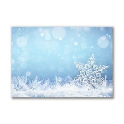 Tablou pe panza canvas Fulgi de zăpadă, iarnă, zăpadă
