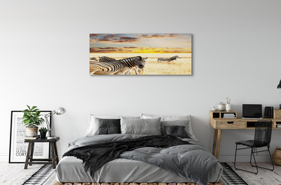 Tablouri canvas Zebre câmp apus de soare