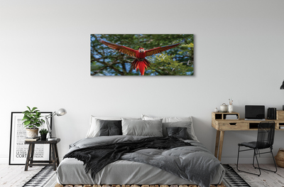 Tablouri canvas Ara papagal