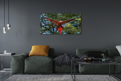 Tablouri canvas Ara papagal