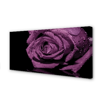 Tablouri canvas trandafir violet