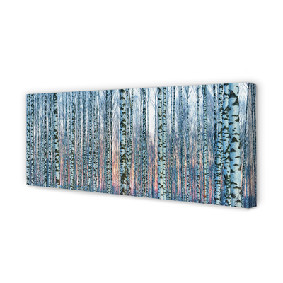 Tablouri canvas Birch apus de soare pădure