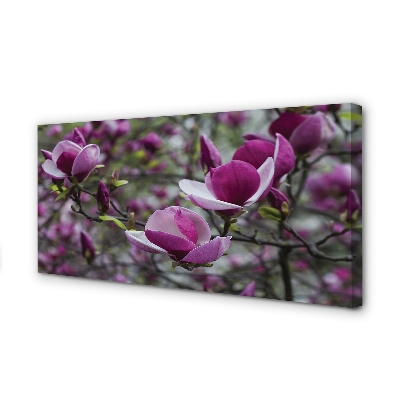 Tablouri canvas magnolie violet